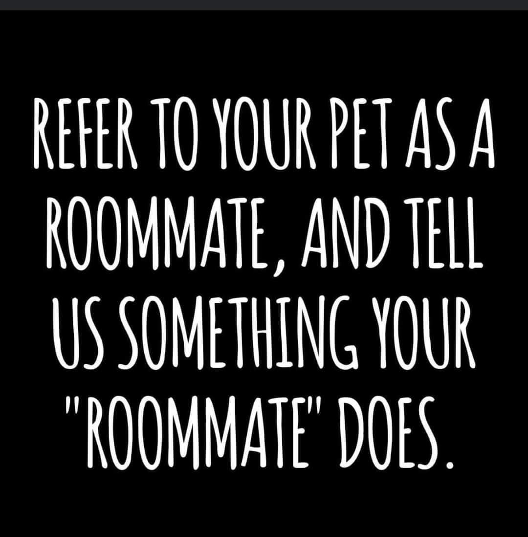 teachergoals's tweet image. This sounds fun!