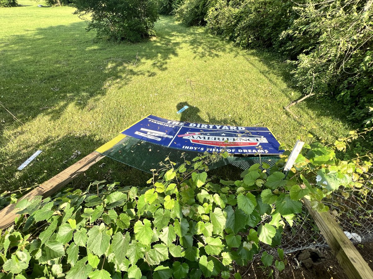 Dirtyard Dish tweet media