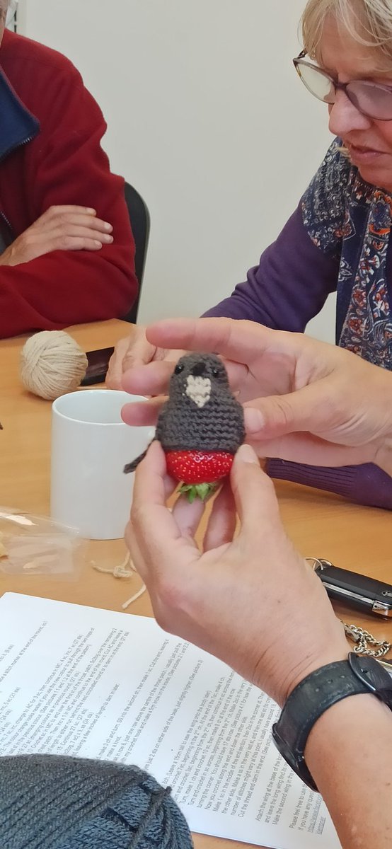 wolvertonswifts's tweet photo. A small group met today to learn how to make the swift egg cosies to send to rehabbers and fundraising for them.
Loving the local support for these incredible birds. #SwiftAwarenessWeek https://t.co/yVihXkf1lj