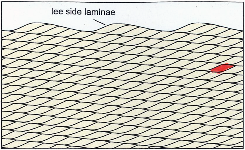 gilliadrian's tweet photo. Did my students understand the process of #ripple formation? I asked the students in the exam @ETH_ERDW to complete the following task: Colour all areas in the figure below that were deposited at the same time as the red area! #sedimentstructures  @sedimentology @SEPMGEO #icfs23 https://t.co/qfB5SwjDWq