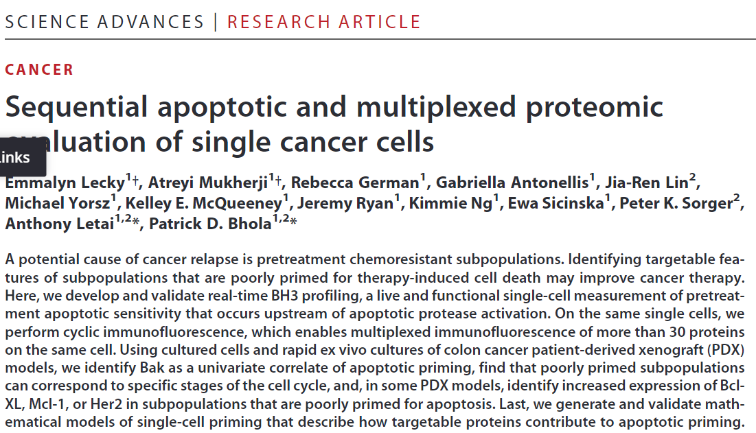 Patrick Bhola (@bholapat) on Twitter photo Why do some cells survive or die in response to chemo? One reason: #tumorheterogeneity of apoptotic priming. Now out in <a href="/ScienceAdvances/">Science Advances</a>, our new tech to identify features of #singlecells that are highly or poorly primed for apoptosis (science.org/doi/10.1126/sc…) (1/7) Why do some cells survive or die in response to chemo? One reason: #tumorheterogeneity of apoptotic priming. Now out in <a href="/ScienceAdvances/">Science Advances</a>, our new tech to identify features of #singlecells that are highly or poorly primed for apoptosis (science.org/doi/10.1126/sc…) (1/7)