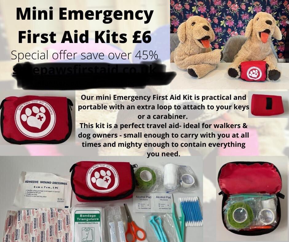 TamarFirst's tweet photo. Dog first aid kits £6 + postage When out & about with your #mutt, or stuck in the middle of a field, are you prepared for cuts and wounds, bleeds, stings or ticks, stuff in their eyes or even worse? Practical and portable, with a belt loop best to be prepared. #dogfirstaid https://t.co/bIf0wyr0JH