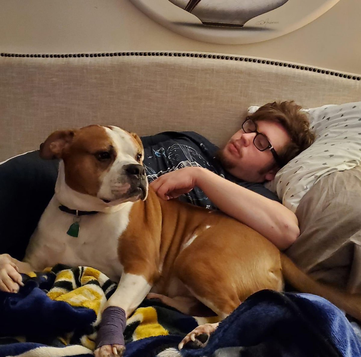 Danny_TH_'s tweet photo. I will never forget you Duke. You were the best dog anyone could have asked for. You were always there for me and as much as it hurts I have to say goodbye. Thank you for everything buddy. I hope there is so much steak and treats for you for where you are going❤️10/17/14 - 7/6/23 https://t.co/l4LNDDfjPC