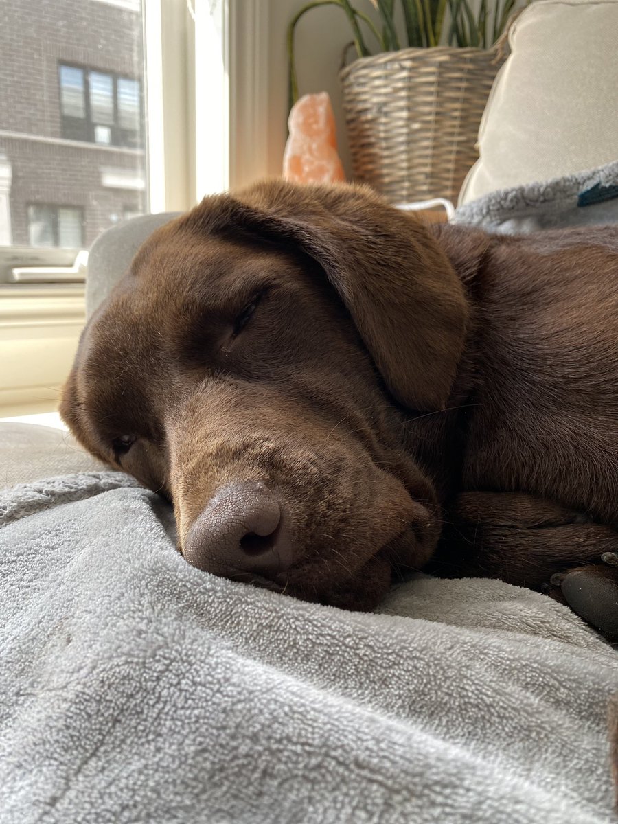 Alexx | Child Life Specialist (she/her) tweet media