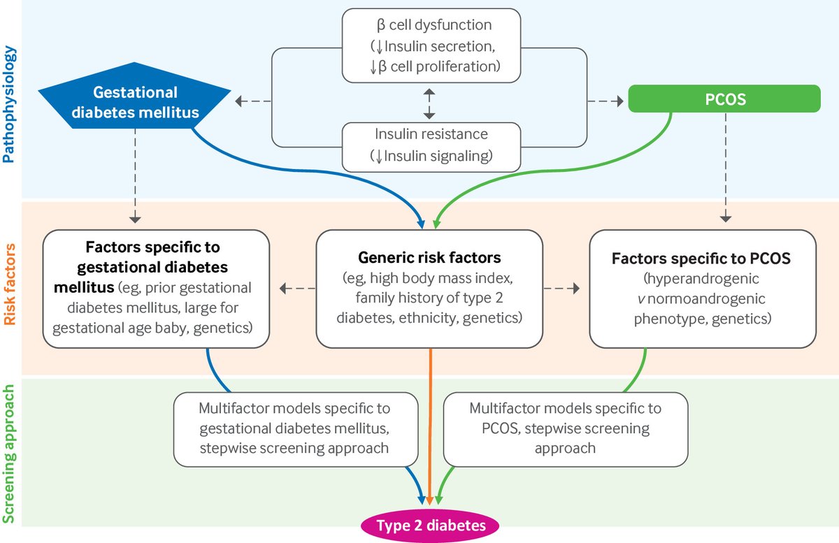 bmj_latest's tweet photo. Gestational diabetes mellitus and polycystic ovary syndrome are two of the most common metabolic conditions affecting women of reproductive age.

This review summarises available screening guidance
https://t.co/tYbKADo2Lc https://t.co/dA5gyvjT3v
