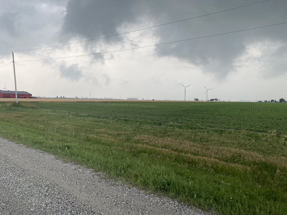 Maybe should close things up before this little cell gets opens up.