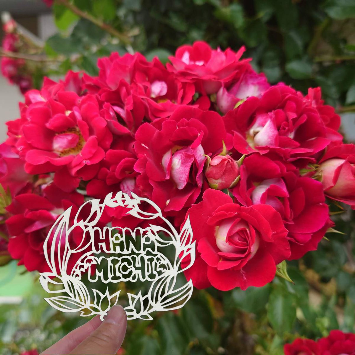 おはようございます🌞
昨日は久しぶりに切り絵をしてみました(  * ॑꒳ ॑*)⸝⋆｡🌼.*
せっかくなので花族のHANAMICHIでしてみたよー(੭˙꒳˙)੭🌷.*  

さて今日は7月7日 🎋七夕の日🎋ですね！にこ🌈がまた七夕の日ということでlCEの塗り絵企画をやるみたいだよ！是非参加してみてね🌟
#花族 #ICEぬりえ