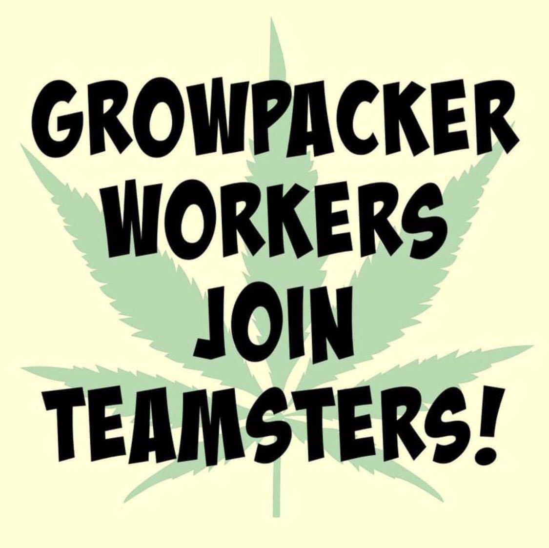 Teamsters420's tweet photo. BREAKING: GROWPACKER CANNABIS WORKERS JOIN TEAMSTERS LOCAL 1932
Local Union @1932teamsters Now Represents Workers from Germination to Retail 🧵… https://t.co/NKTPpoTdcP