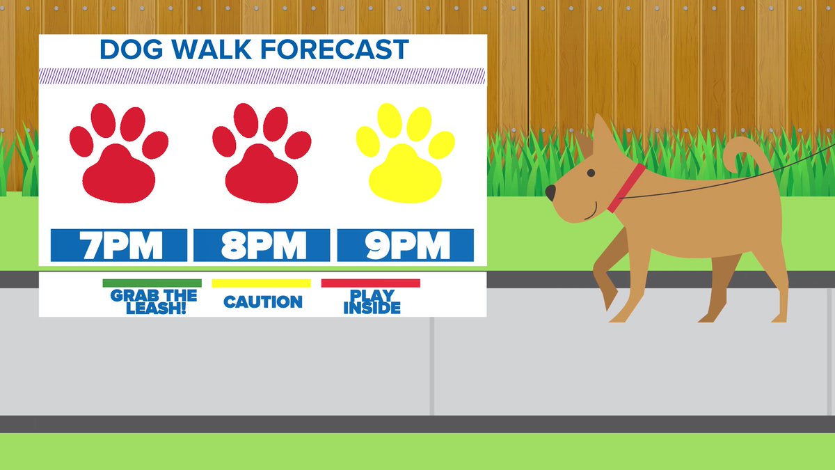 wfaaweather's tweet photo. Don't get out with the pups until later this evening! Their paws are going to  have a hard time on with this heat. #wfaaweather https://t.co/ylZ2wt1Ght