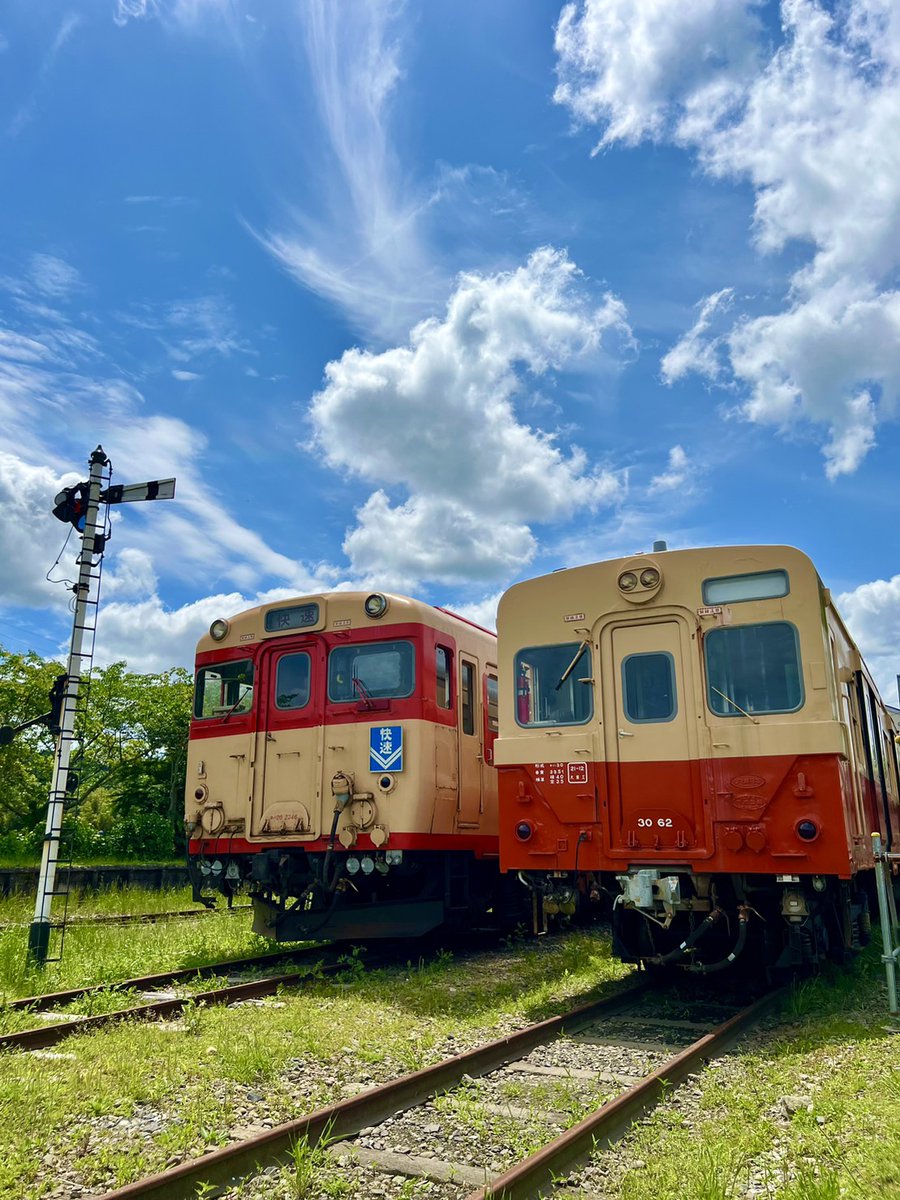 sashi581_31's tweet photo. おはようございます
🎋🌠🌠キラキラ光るぅ～🎵画像は、いすみ鉄道(株)様より提供いただきました。
食堂車を救出へ！更なる支援をいただけますよう返礼品追加決定！発表をお待ちください。まだまだ御支援が足りません、引き続き御支援・拡散協力お願いします。https://t.co/6SL8aPy3GJ https://t.co/sg1dCjc3LC