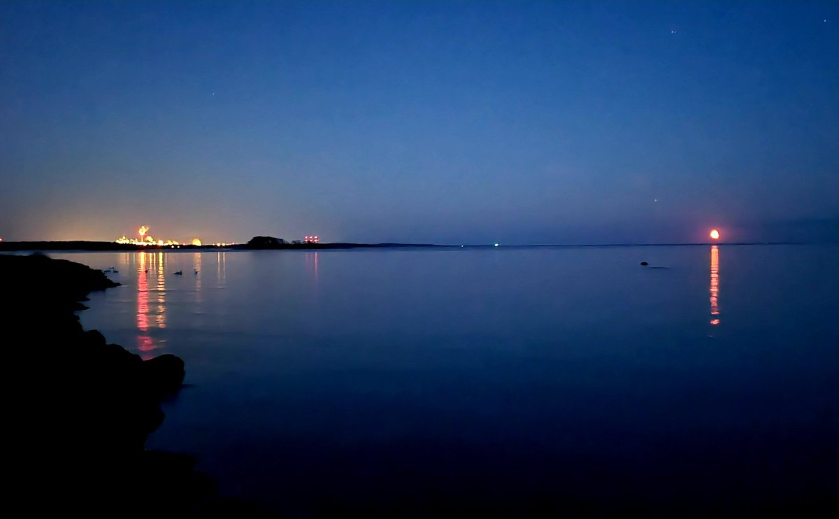 Exosia's tweet image. Karlshamn med rodnande månuppgång alldeles nyss

#karlshamn #pukavik #sölvesborg