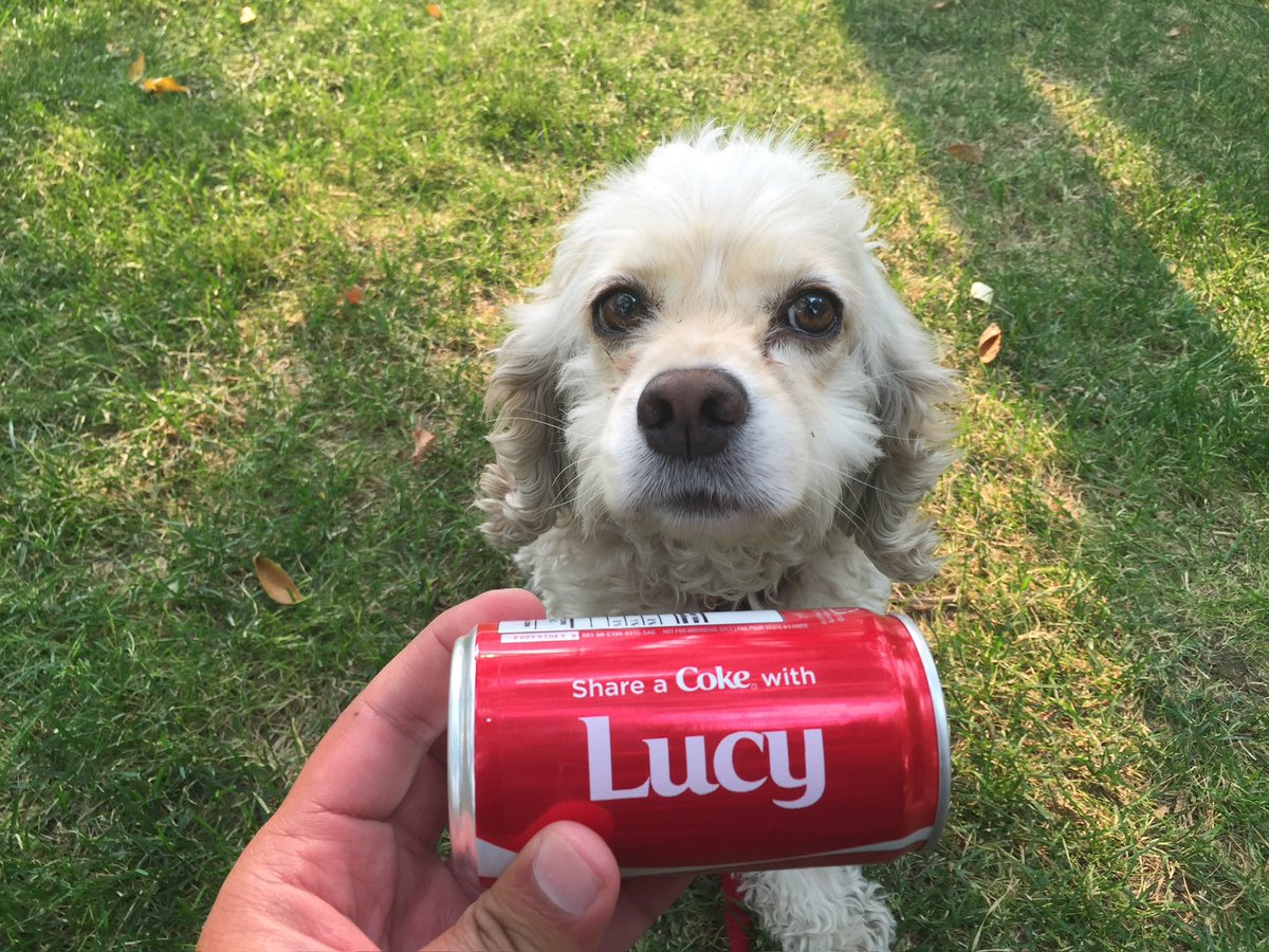 Hasan Hai 🧜🏾‍♂️ (@hasanhai.bsky.social) tweet media