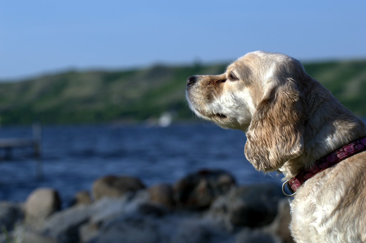 Hasan Hai 🧜🏾‍♂️ (@hasanhai.bsky.social) tweet media