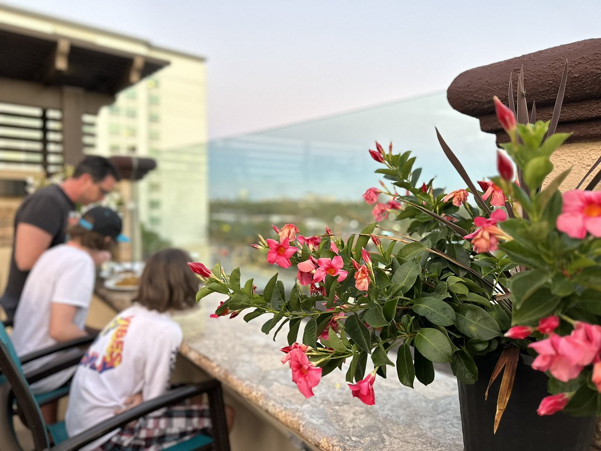 Dinner on the terrace <a href="/shellvacations/">Shell Vacations Club</a> #peacocksuites #timesharing