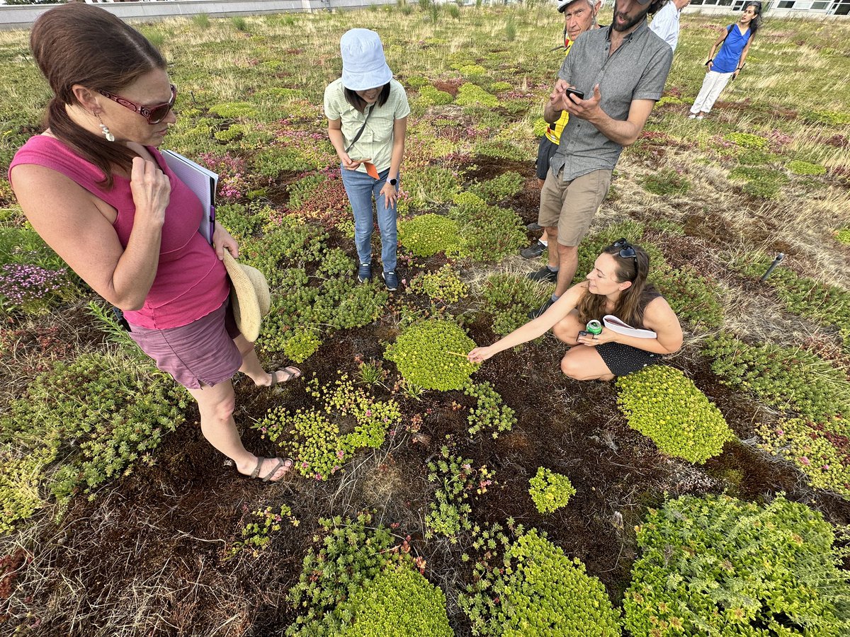 In a word…Awesome. Covers the City Market roof, our participants, and the afternoon as a whole. Subscribe and join our newsletter to get first dibs at the next event! Thegrin.bc@gmail.com