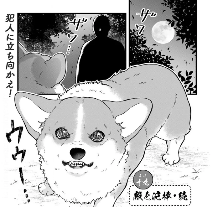 コミックス『#殿と犬』2巻の続きのお話が読めるのは、来週更新日まで!  読んでね〜☺️🫶🐶  