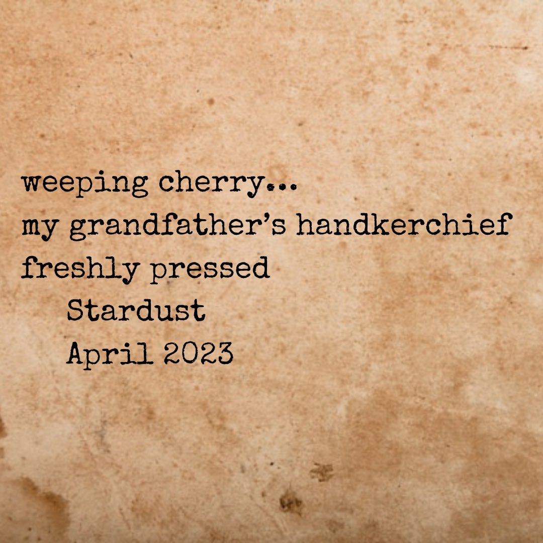 Here is a #grief #haiku for my #uncle and #godfather. He’s the reason for the #bowties and #ballads, so #myheartaches.

#micropoetry #micropoem #haiku #poem #poems #naturepoetry #naturepoem #poetry #poetrycommunity #poetrylovers #haikupoetry #haikupoem #shortpoetry #poetryislife