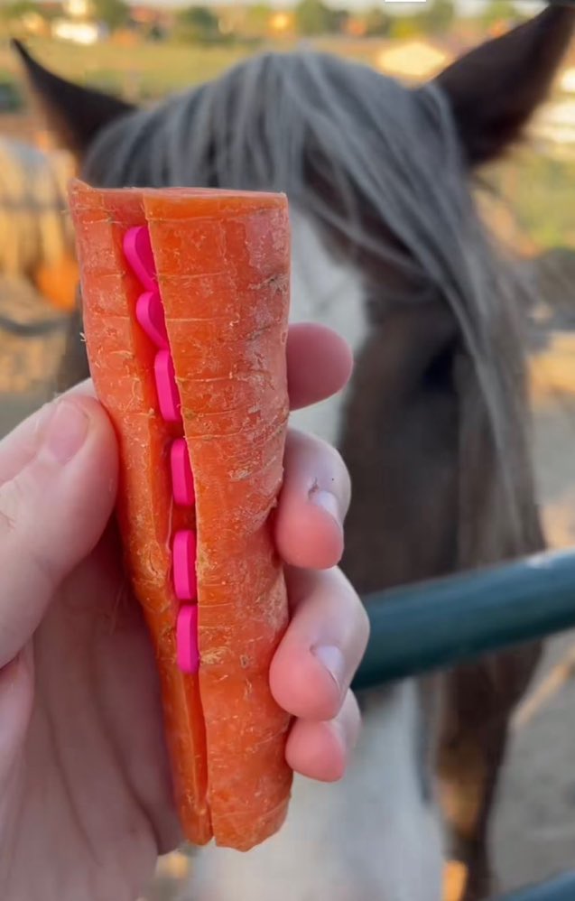 newwebbing's tweet image. ⠀                 
mmmmmm…
⠀