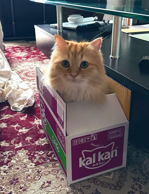 超人気高品質 ぐで猫 こぼれちゃった 天の川 七夕 No.462 各種パーツ