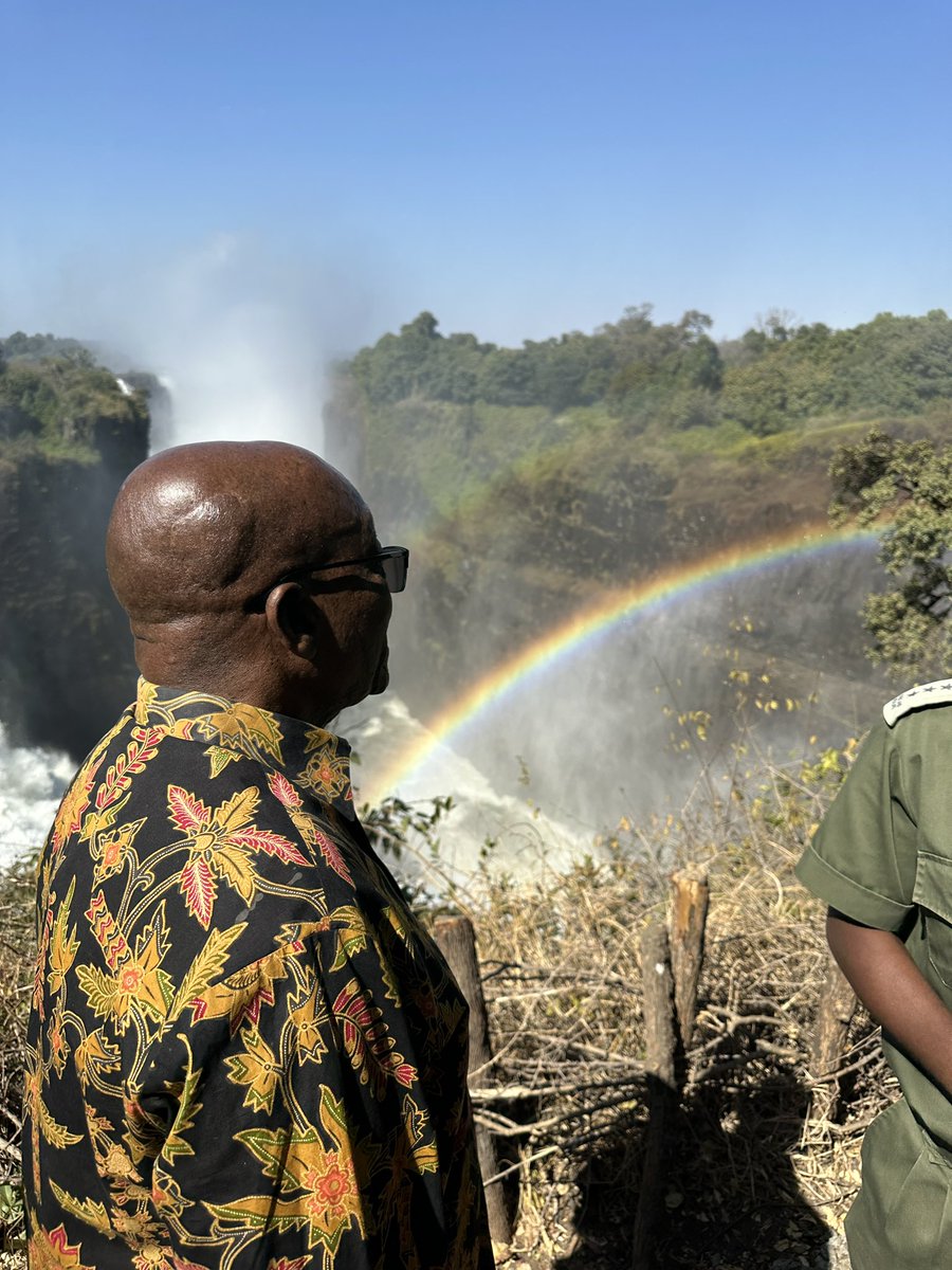 Charlene Shumba tweet media