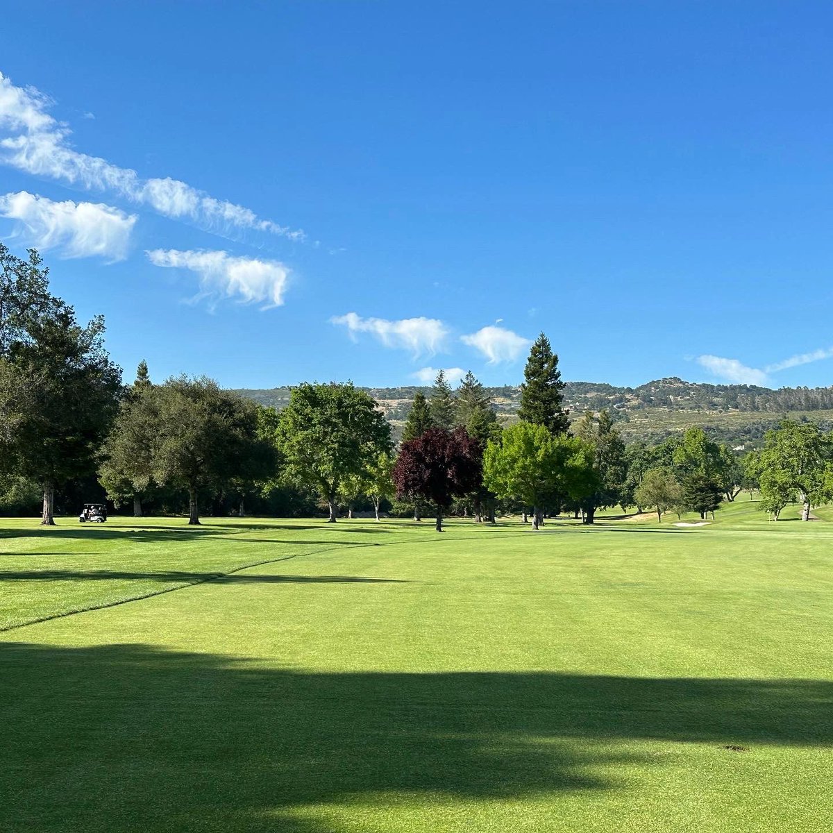 Milissa97311699's tweet photo. San Francisco
Golf https://t.co/mSumWn720n