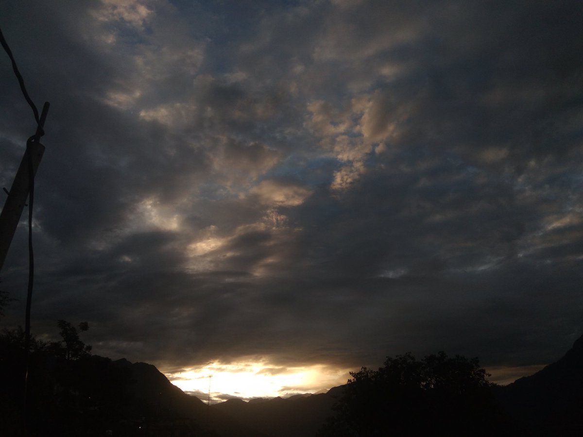 🌿Good morning beautiful 🌿