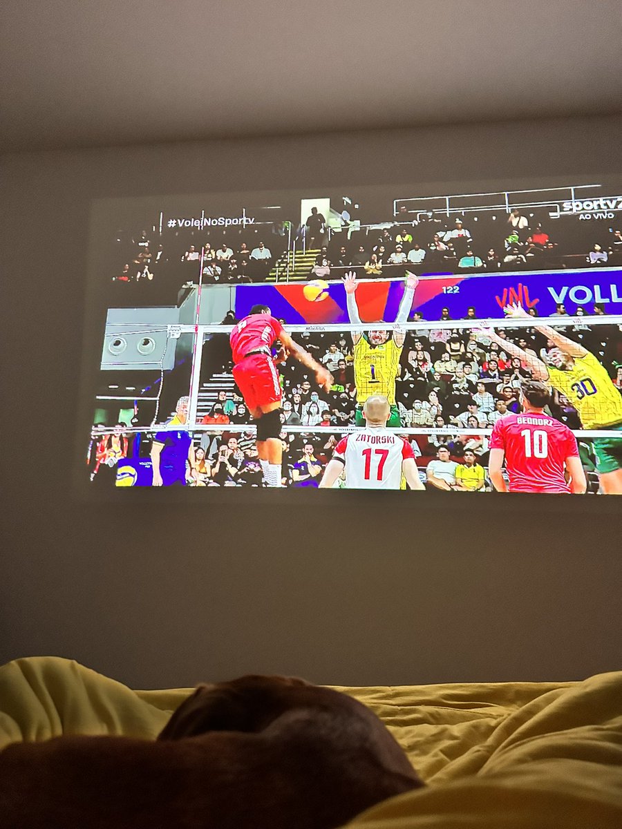 Toiobinha fica tranquilo que a Frida também não tá muito pro jogo hoje! 🐕😂😂 #VoleiNoSporTV