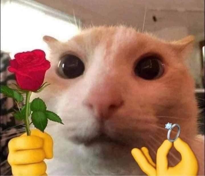 IX404VI's tweet photo. #SJ404

Good afternoon, dear @SKUY2DFESS 
May i have a follback? Here some memes i can offer. Thank you so much. https://t.co/2YEH0ygL6m