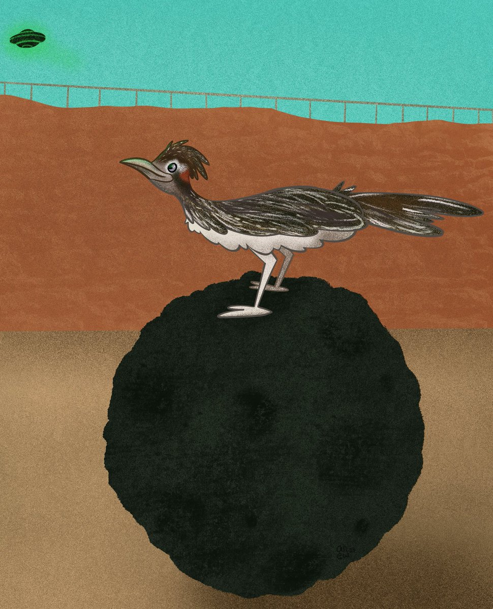 Amy New (➡️🦋⛅️) tweet media