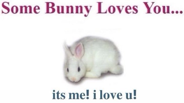 kimmy (@kmmyvu) on Twitter photo 