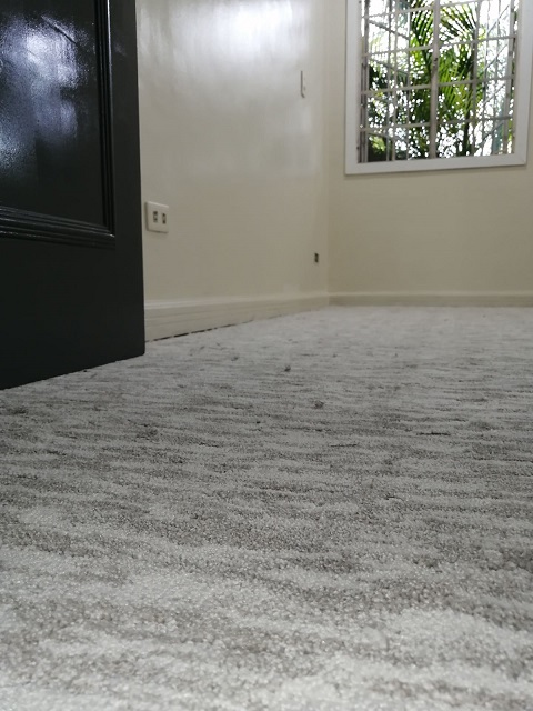 dswindows's tweet photo. Hotel Quality Carpets for Residential Rooms : Pasay Project https://t.co/onjeRfOnvO https://t.co/sKPVSYlc9a