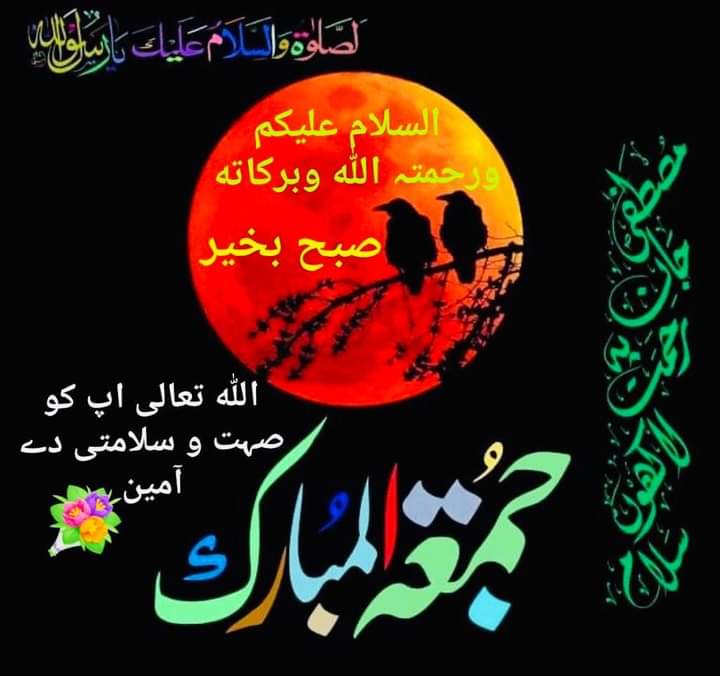 Azra Akbar (@akbar_azra) on Twitter photo 