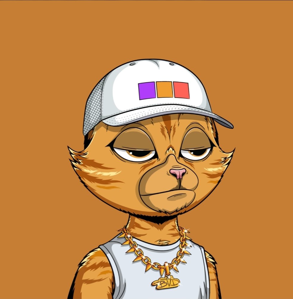 Wow won this clean <a href="/BVDCAT_/">BVD</a> from a <a href="/TrippinApeNFT/">Trippin’ Ape Tribe</a> twitter giveaway thanks fam keep building fk the haters #itsacult