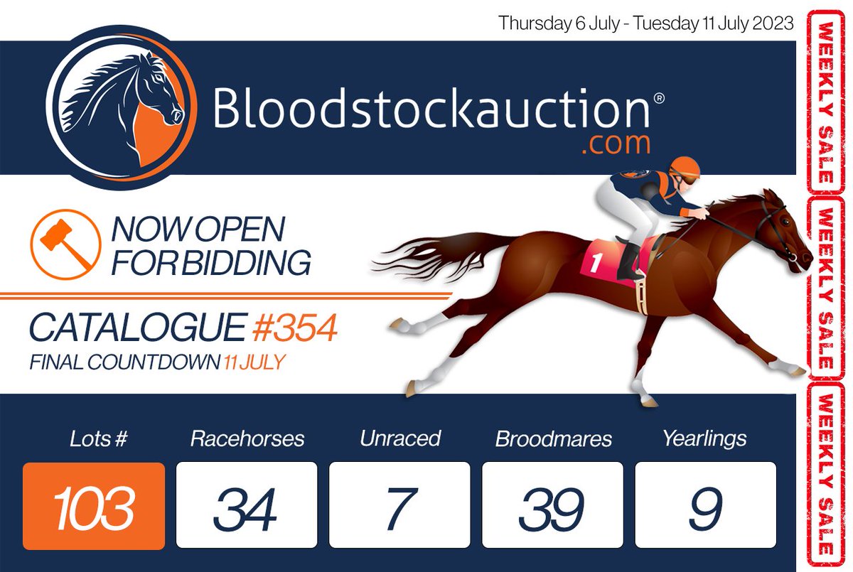 🏇 Catalogue #354 is Now Live! - mailchi.mp/bloodstockauct… To view the auction catalogue click here: bit.ly/3MBr9ql Ask about our new 1% Commission Fee Model and how we can save you money vs the competition! 💰
