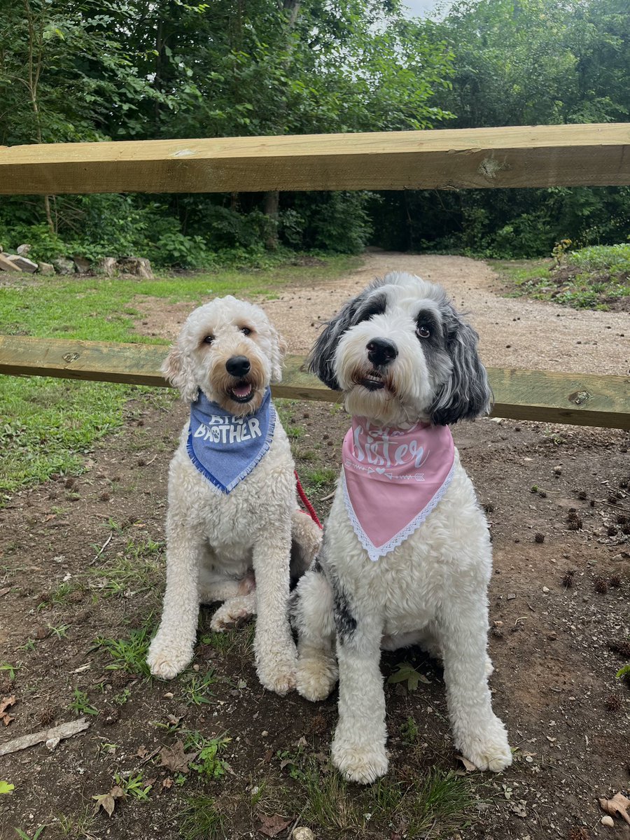 Jasper Parks tweet media