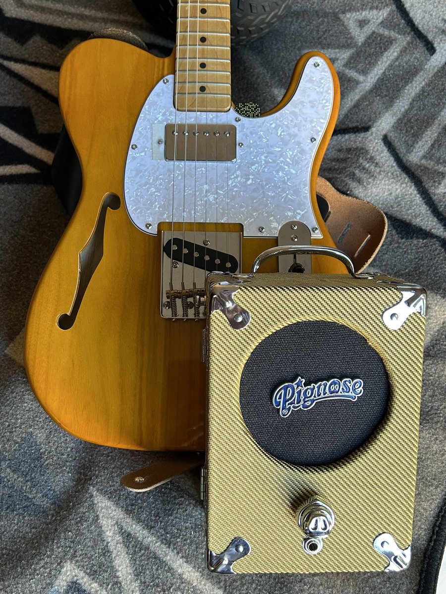 Rockfis10317531's tweet image. Pignose arrived today. I’ve always wanted one. #Pignose 🐷