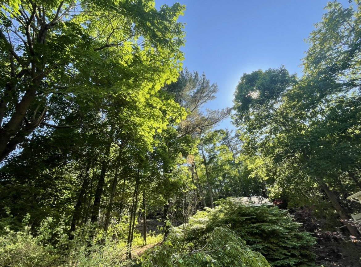 So nice to see the sun again today! ☀️😎 #Halifax