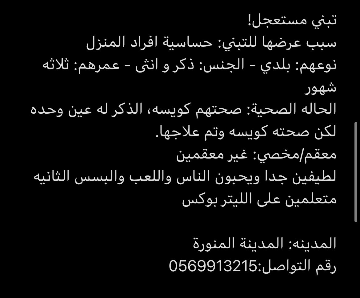 LAMAAX_'s tweet photo. تبني مستعجل!
كيتنز بلدي عمرهم ثلاثة شهور
لطيفين جدا بس يحتاجون بيت باقرب وقت 
@RiyadhCats https://t.co/OhO3ozxyxg