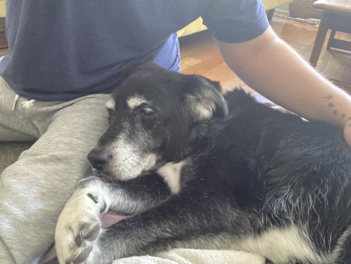 Emma Smith-Stevens tweet media