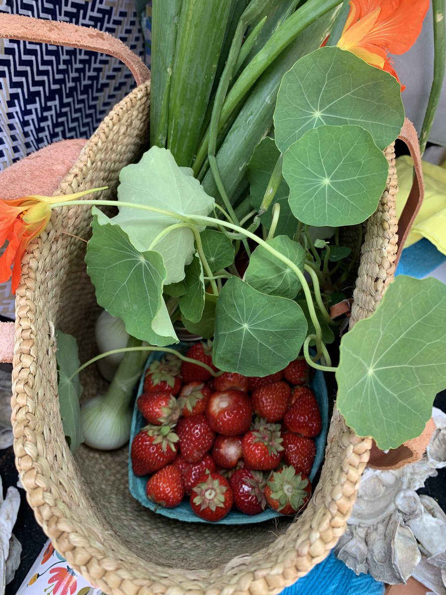 TreeSwallows's tweet image. My first farmers market haul in Maine. I’m living in Maine, people!!!! I am so excited about everything that lies ahead 🦞🪶🌲❄️🍓⛷️🏕️🔬📓