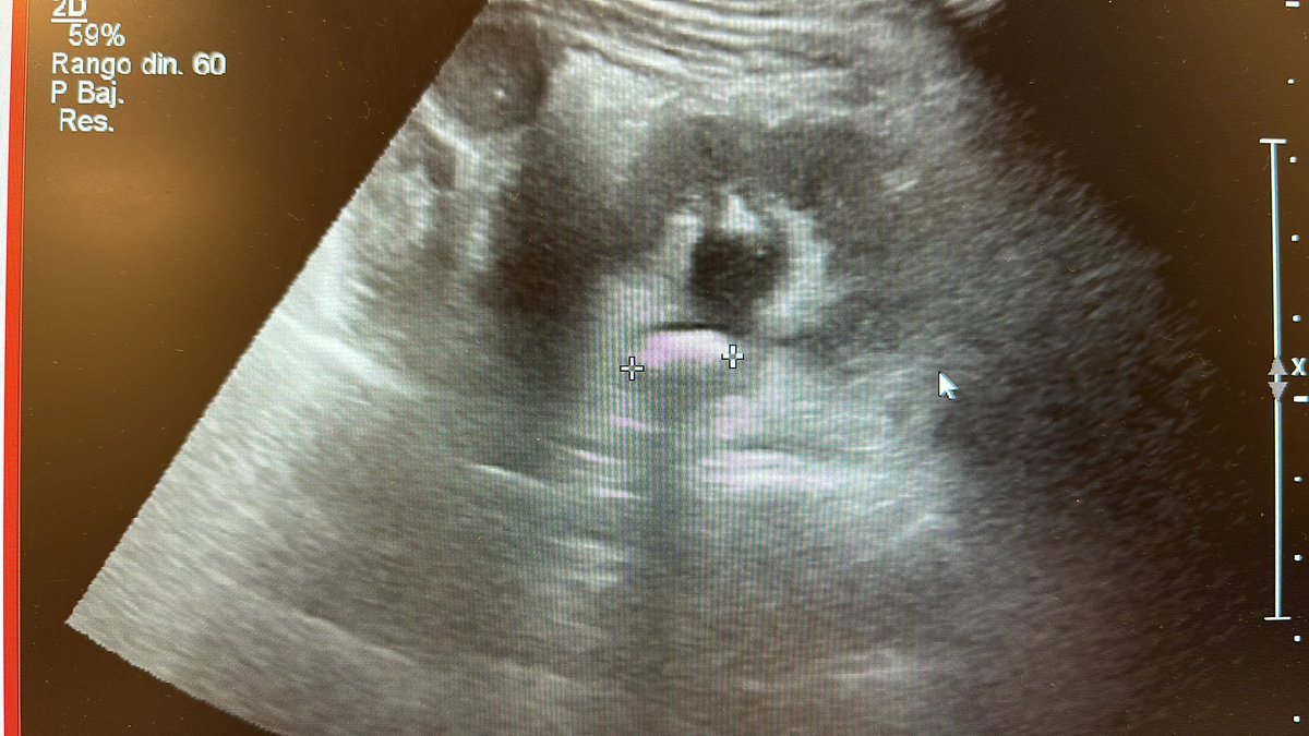 reedurokids tweet media