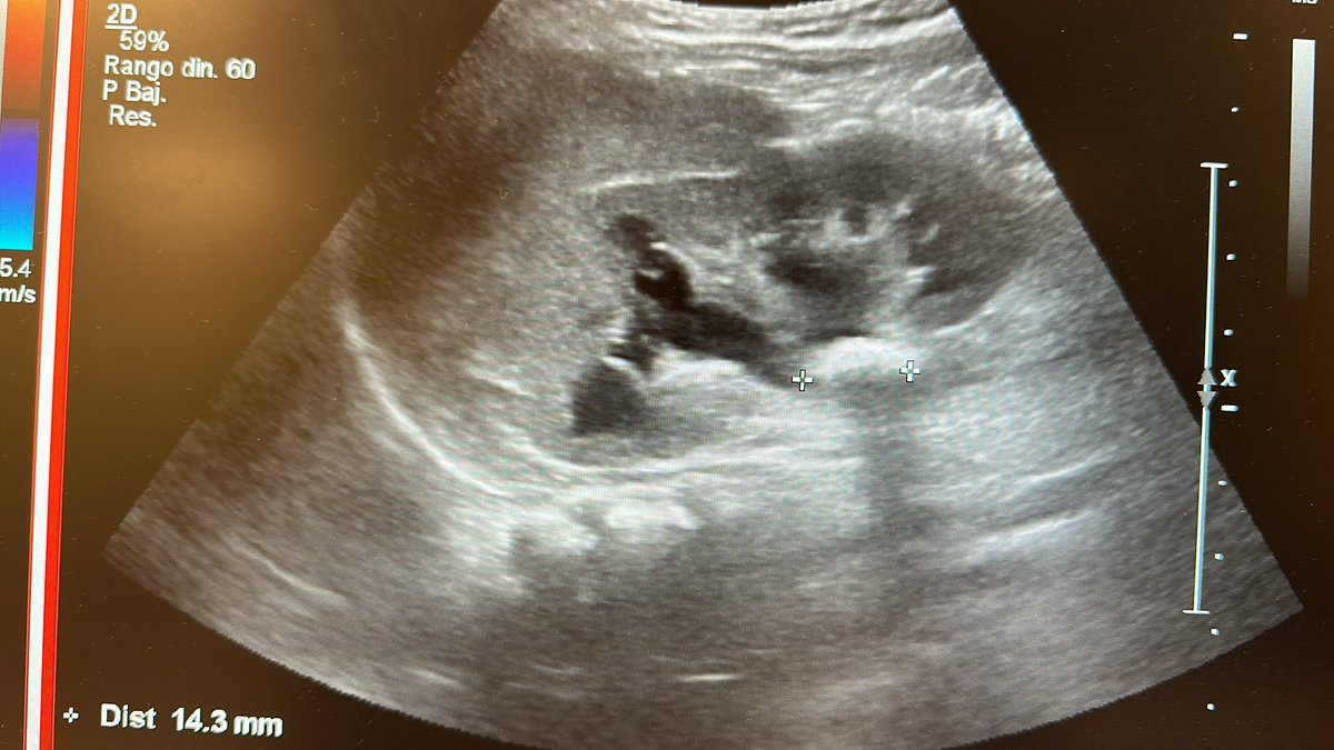 reedurokids tweet media