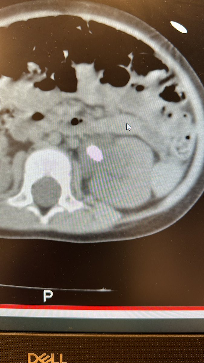 reedurokids tweet media