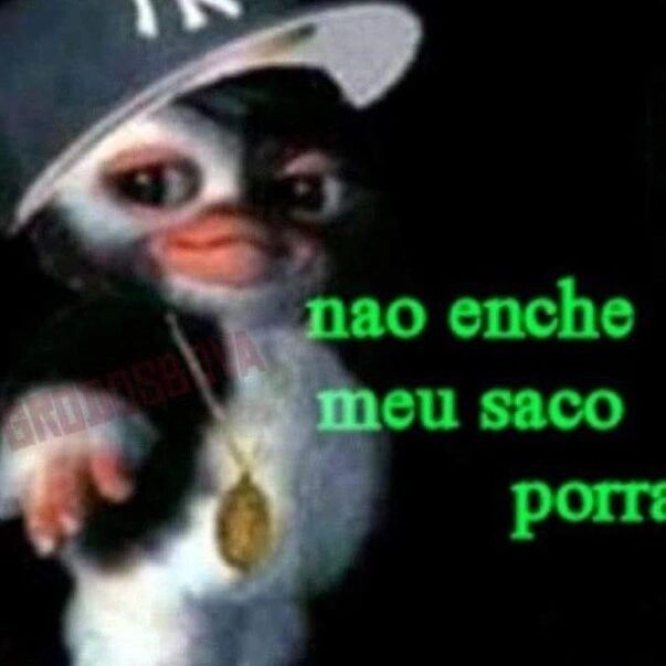 esquizogata (@rebkkkj) on Twitter photo 