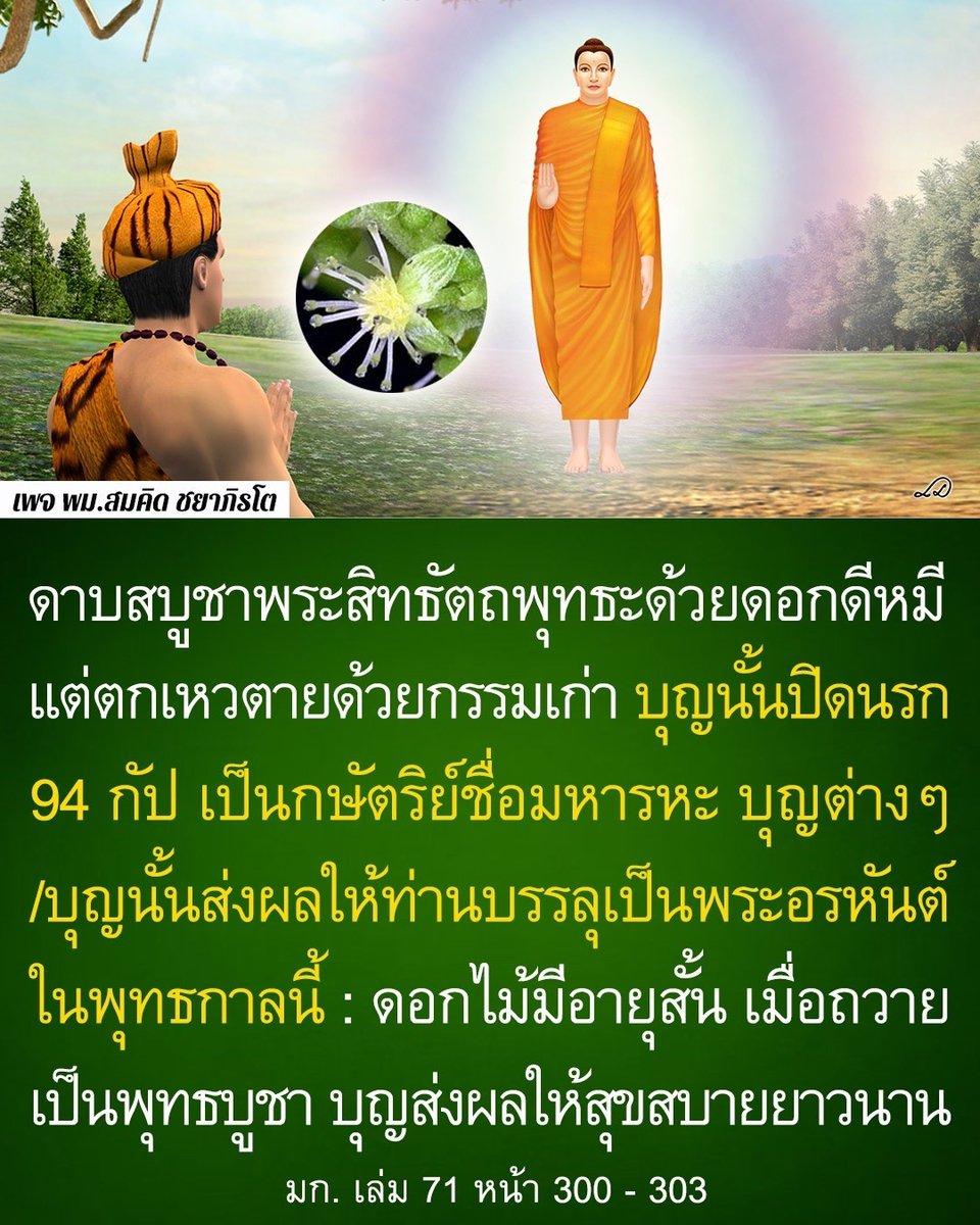 OldSoldier072's tweet photo. https://t.co/DTlUhQaxZ3
 พระอรหันต์รูปหนึ่งชื่อพระติมิรปุปผิยเถระได้เล่าประวัติในอดีตชาติสมัยพระสิทธัตถพุทธเจ้าไว้ว่า ท่านเกิดในเรือนมีตระกูลแห่งหนึ่ง เจริญวัยแล้วอยู่ครองเรือน https://t.co/zOqBadkB4i