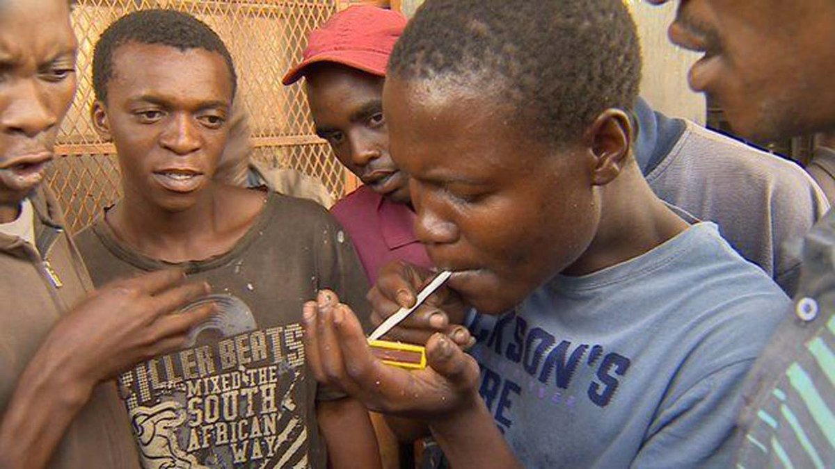 THISDAYLIVE's tweet photo. The use of Colorado drug, also known as synthetic cannabinoids or “Spice,” has been on the rise among Nigerian youth in recent years. This article aims to shed light on https://t.co/FLNbdMHK3v #thisdaylive https://t.co/pKfLZfaVCE