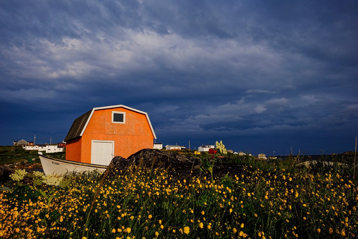 “If all the buttercups were lemon drops and gumdrops” July 2021