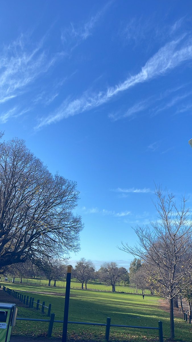 赵岩记者 tweet media