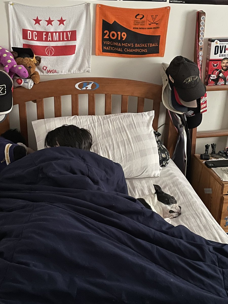gingercookie100's tweet photo. Gonna miss you Ziggy. You’re one of the best. #ripziggy #thankyouforbeingagoodboy #bostonterrier https://t.co/as5RmAGNqq