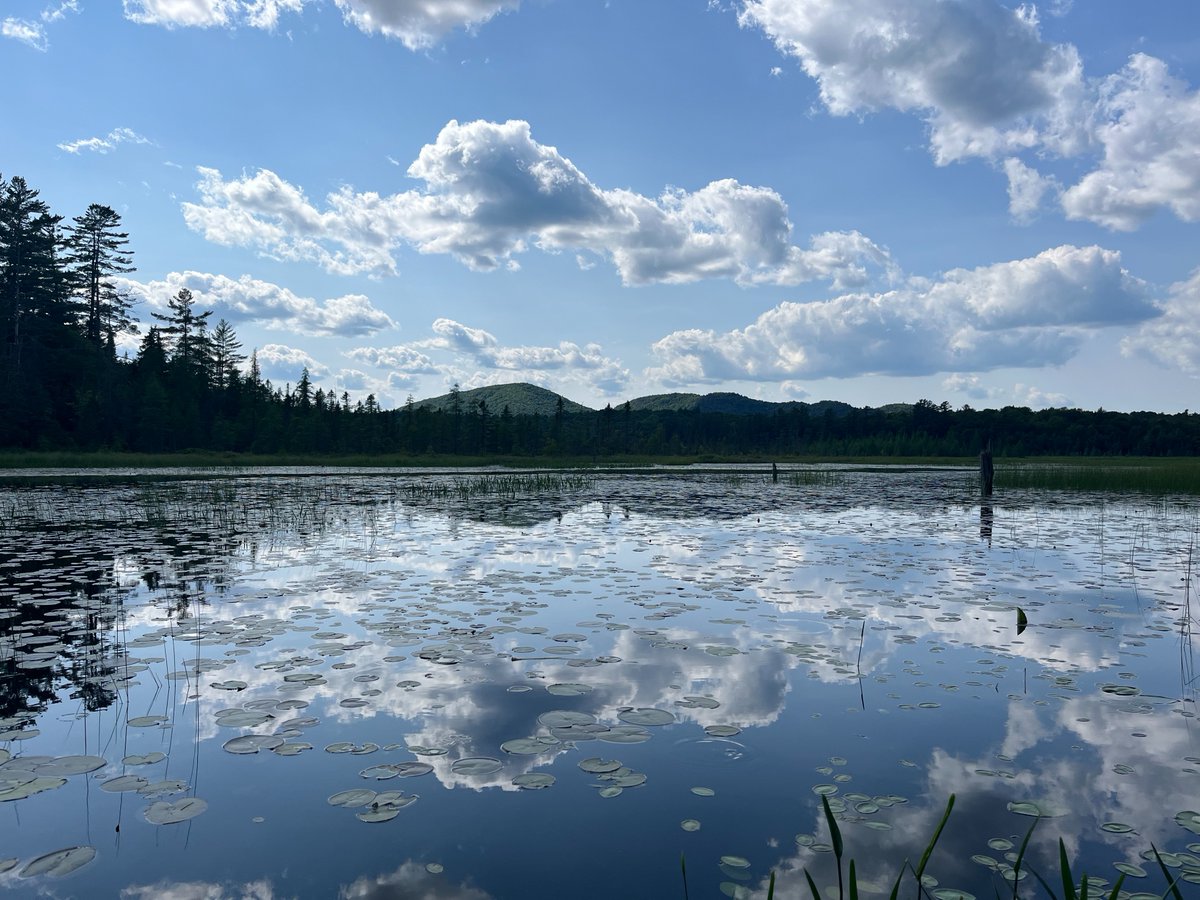 ncpr's tweet photo. Photo of the Day: "Paul Smiths VIC on June 20." Photo: Valerie Cole
#ncprpotd https://t.co/bJd3tnWQH3